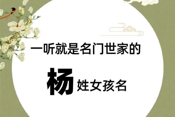 如何为杨姓男孩起一个有意义的名字