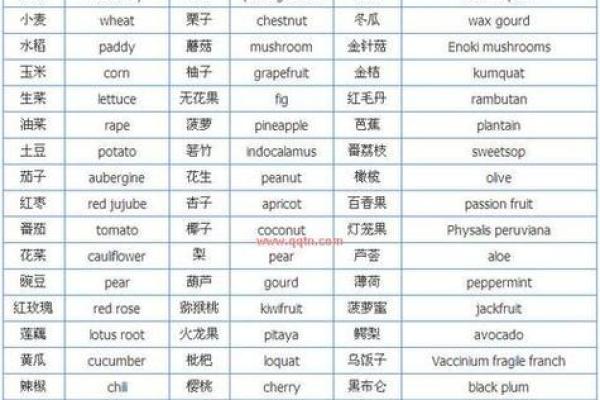 独特英文QQ名字大全，助你打造专属风格