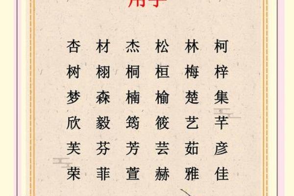 带木字的男孩名字：展现活力与温暖的完美选择