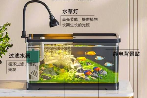 风水招财鱼缸的摆放禁忌与注意事项