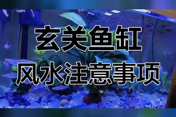 风水招财鱼缸的摆放禁忌与注意事项