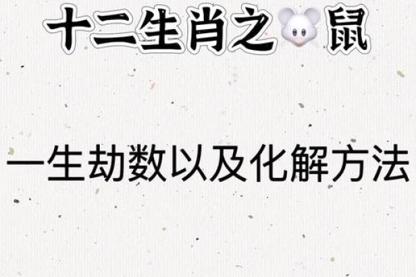 本命年鼠女的事业运势详解