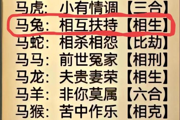 属兔与属猪是否相配？揭开生肖匹配的奥秘