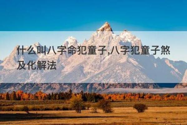 童子命的影响与生活中的表现