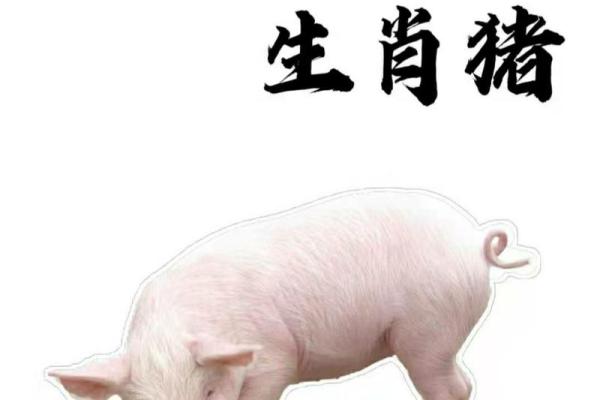 男猪女鼠在生肖配对中的合适度分析