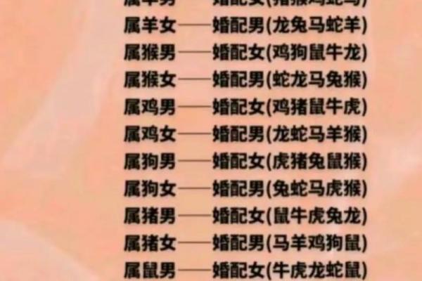 男猪女鼠在生肖配对中的合适度分析
