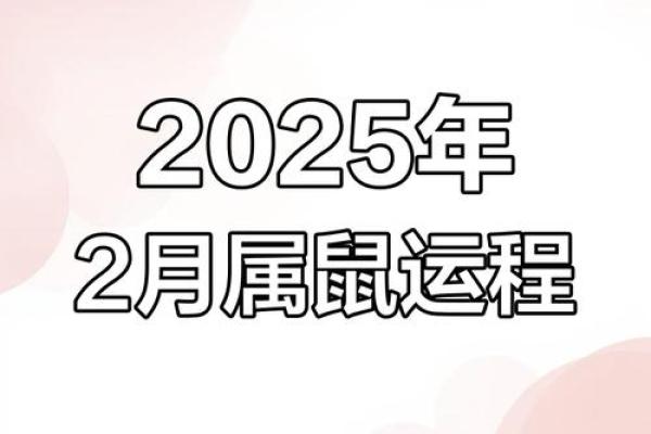 属鼠每月运势解析与运程预测