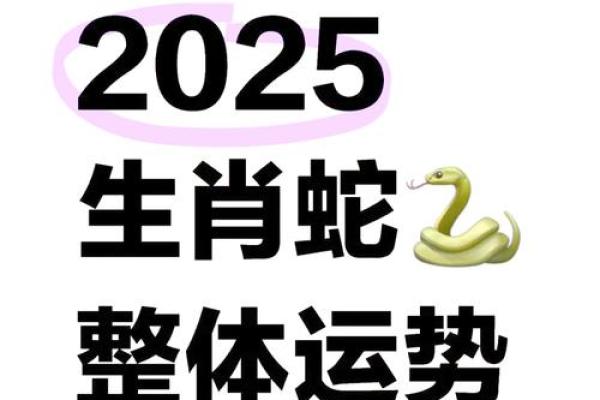 本命年属蛇人的学业与发展建议