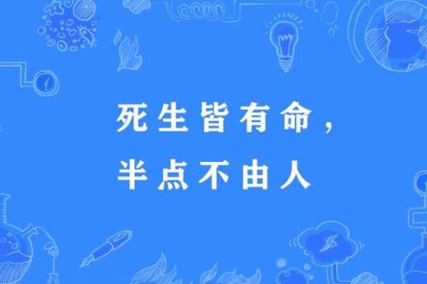 未命人是什么意思及其深层含义解析