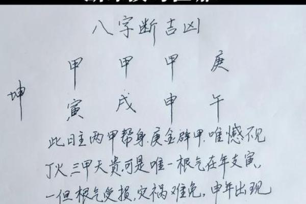 如何通过免费测八字揭示你的命运秘密？