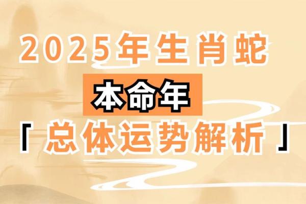 本命年属蛇的爱情运势解析