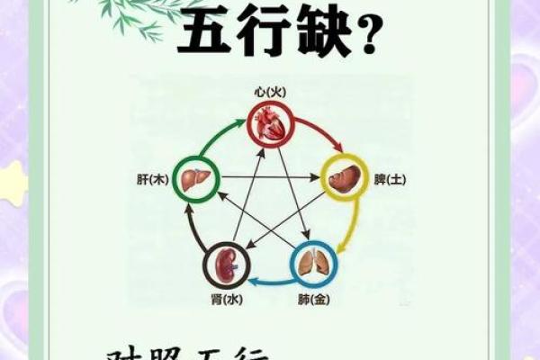 五行理论与肥胖的关系：如何从五行角度解决肥胖问题？