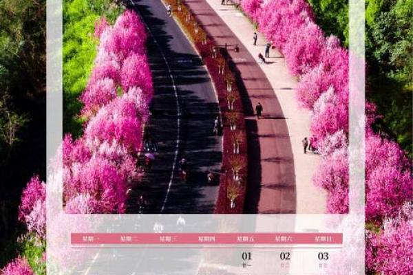 万年历2003：揭秘岁月流转的神奇力量