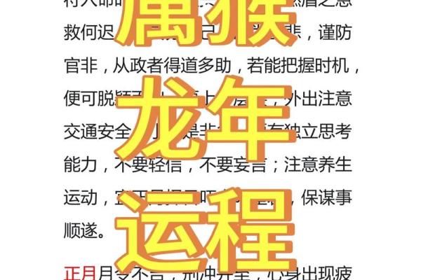 属猴人的一生运势解析与未来展望