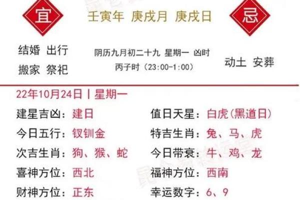 今日运势分析，生肖如何应对各种挑战？