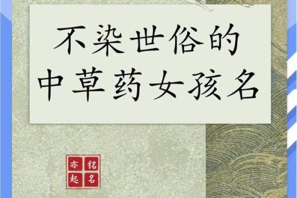 中药名字里的诗意女孩之选
