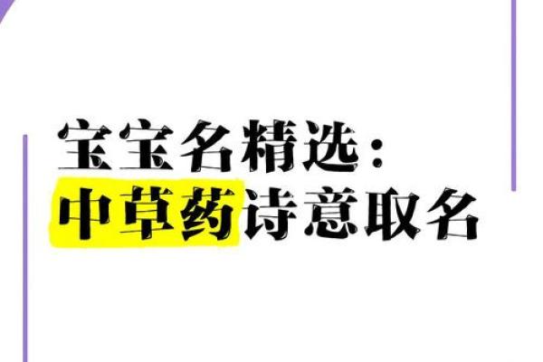 中药名字里的诗意女孩之选