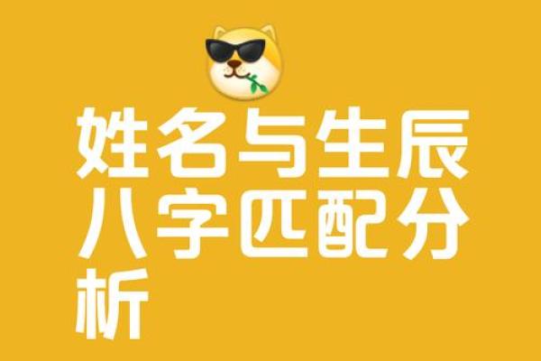 专业宝宝名字打分测试，帮你挑选最合适的名字