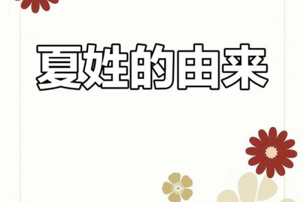 夏字宝宝起名的独特风格与搭配建议