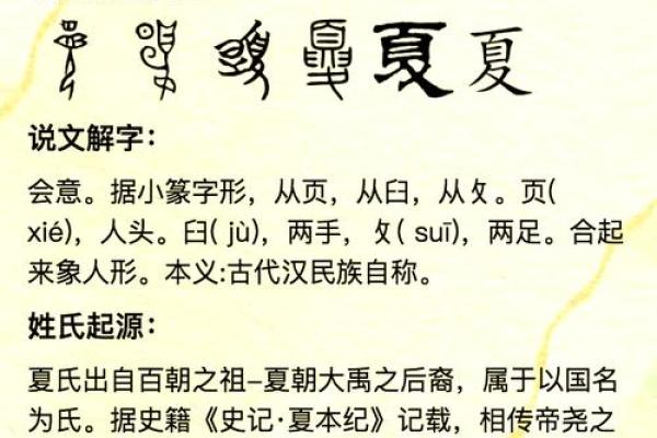 夏字宝宝起名的独特风格与搭配建议