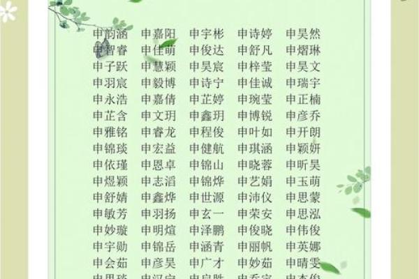 为申姓女宝宝起个独特而有意义的名字技巧解析