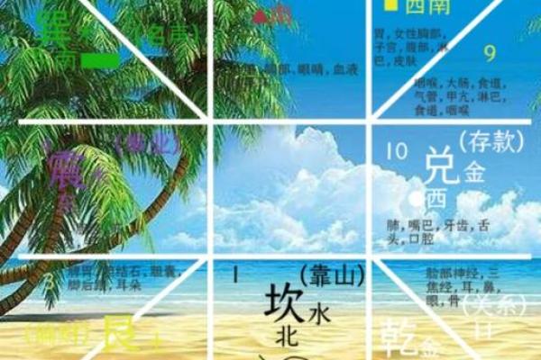 探索人每月运势变化
