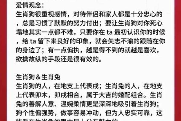 属鸡和属狗的婚配分析 是否合适相处呢
