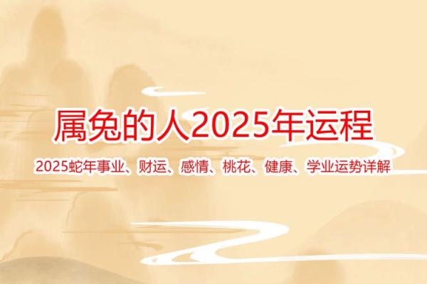 属兔人运程预测：事业与感情的关键时刻