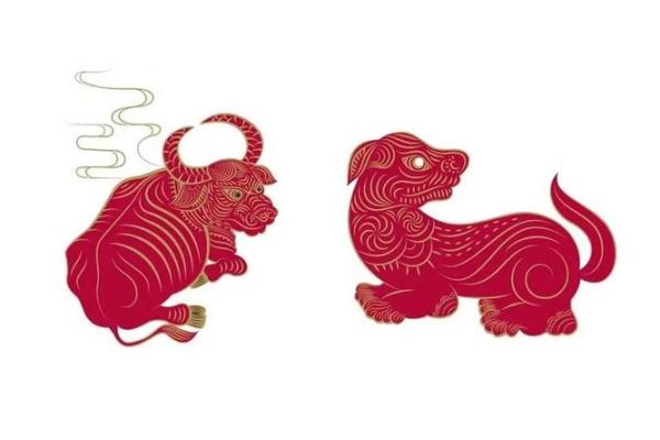牛兔相配的优缺点分析，适合长期相处吗