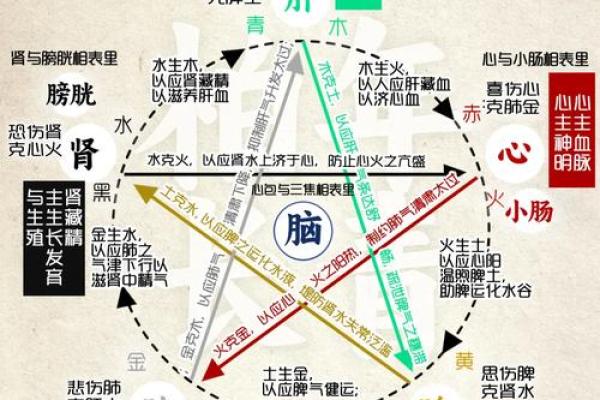 揭秘五行与调料搭配的奥秘，提升你的生活质量