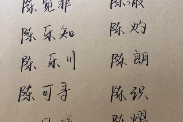 如何为陈姓男孩起个独特又有意义的名字