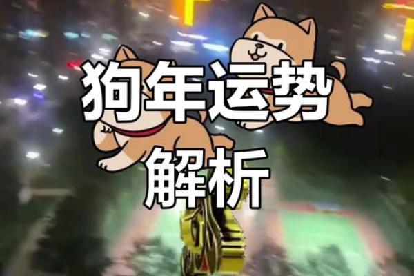 今日属狗人运势详解：小心意外，防止压力过大