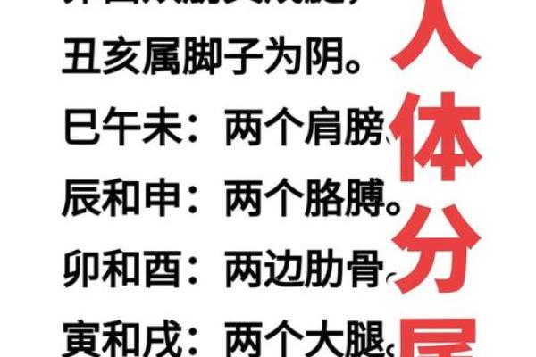 八字排名揭秘：如何通过命理分析了解你的运势走势