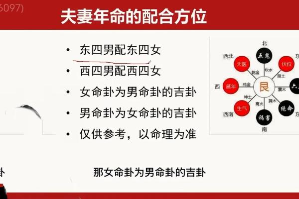 凶星照命的含义与影响解析