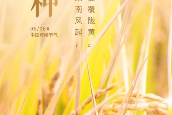 农历八月二十六，这一天的节令与农事紧密相关