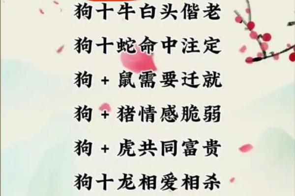 属马女和属马男婚配是否理想？分析两者的缘分与契合度