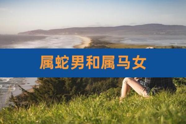 属马女和属马男婚配是否理想？分析两者的缘分与契合度