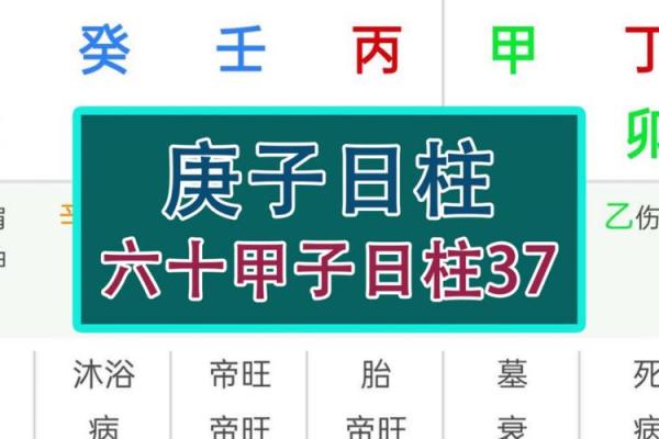 甲子日柱适合的婚姻伴侣类型