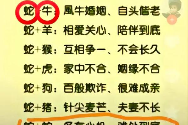 蛇兔生肖配对：理智与活力的结合
