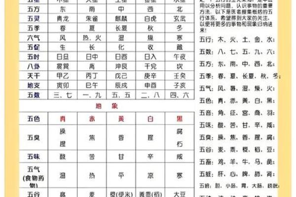 五行对照表的应用与理解解析