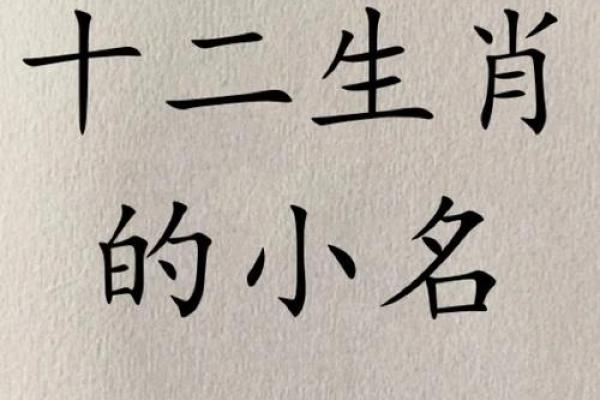 为猪年宝宝取个与众不同的名字