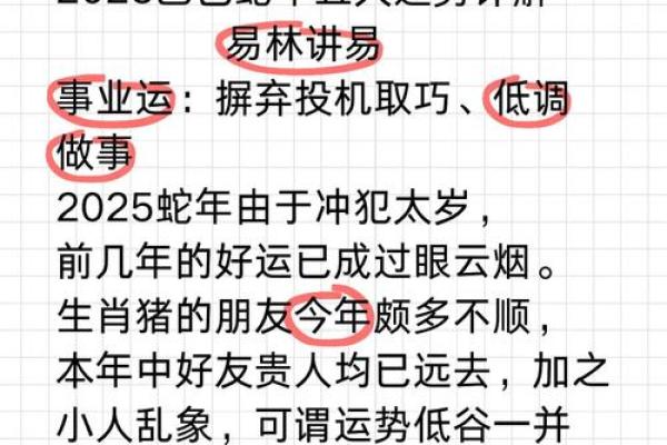 运势解析：各生肖的幸运与挑战