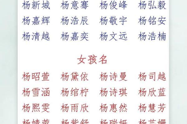 杨姓男宝宝取名字的最佳建议与技巧