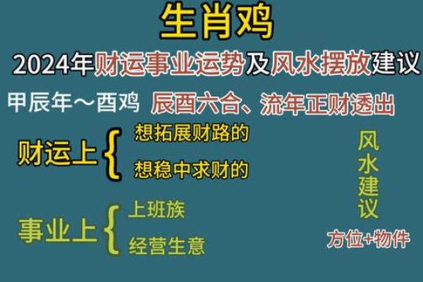 今日生肖运势预测与建议
