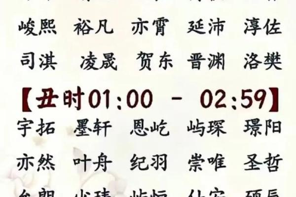 流行宝宝名字解析：最受欢迎的姓名趋势