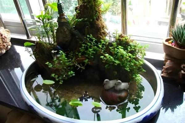 优化家居风水布局的十大必知要点