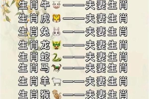 女属鸡男属鼠的配对是否和谐？生肖相合与否的深度解析