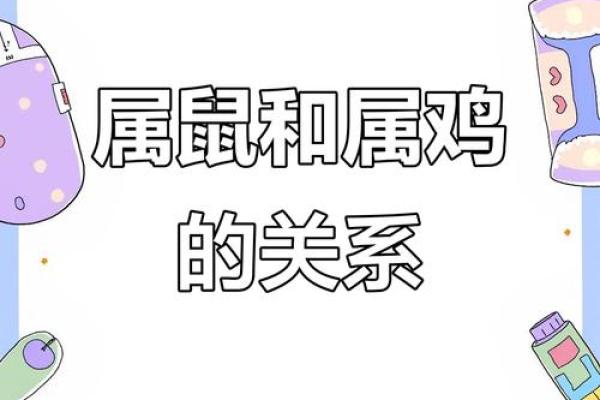 女属鸡男属鼠的配对是否和谐？生肖相合与否的深度解析