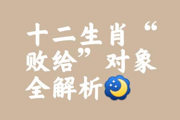 本命年鼠男如何避免感情上的误会