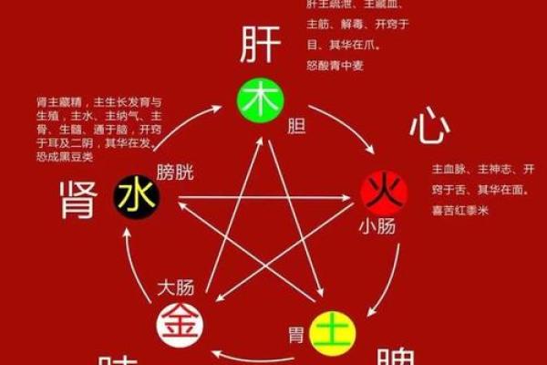 揭秘群五行属性：了解每种属性对人际关系的影响